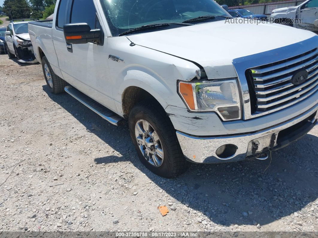 2010 Ford F-150 Xl/xlt/fx4/lariat White vin: 1FTFX1EV4AKE76130