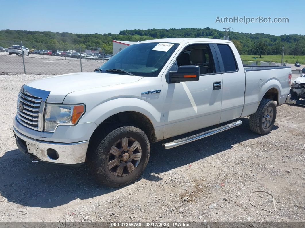 2010 Ford F-150 Xl/xlt/fx4/lariat White vin: 1FTFX1EV4AKE76130