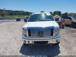 2010 Ford F-150 Xl/xlt/fx4/lariat White vin: 1FTFX1EV4AKE76130