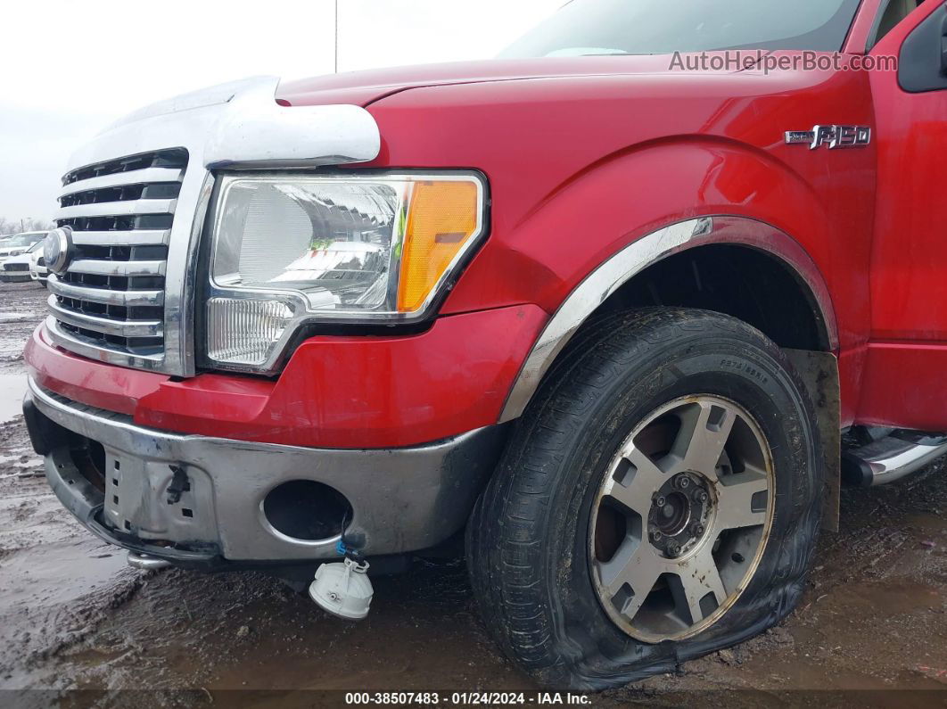 2010 Ford F-150 Fx4/lariat/xl/xlt Red vin: 1FTFX1EV5AFB18365