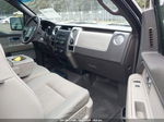 2010 Ford F-150 Fx4/lariat/xl/xlt Silver vin: 1FTFX1EV5AFC58111