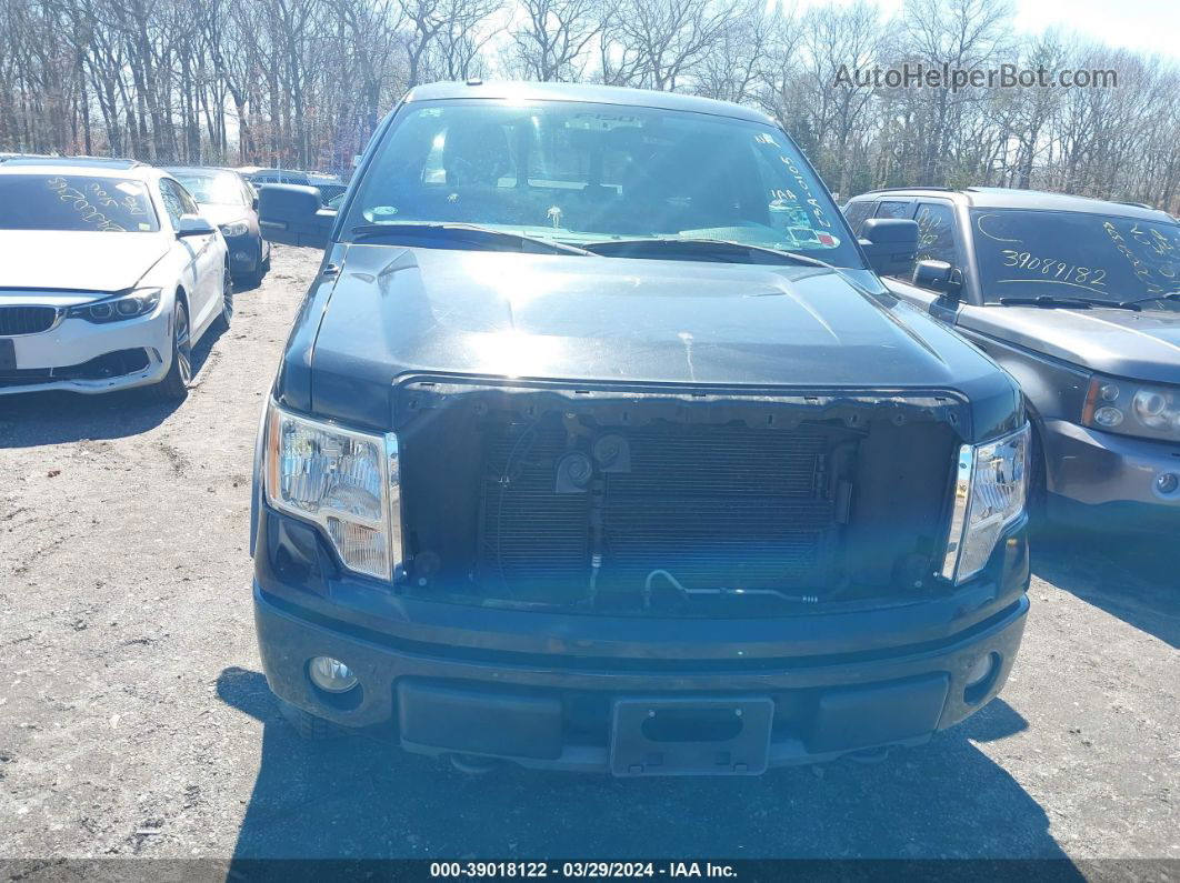 2010 Ford F-150 Fx4/lariat/xl/xlt Черный vin: 1FTFX1EV5AKE73253