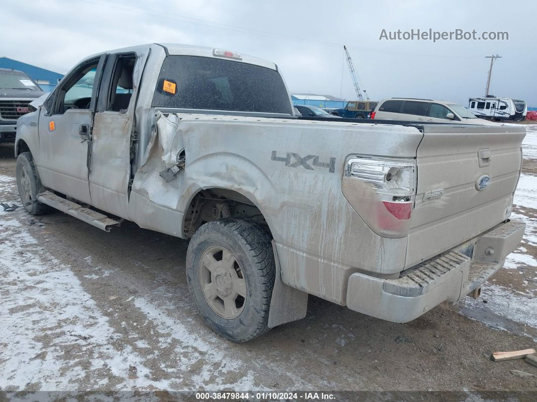 2010 Ford F-150 Fx4/lariat/xl/xlt Silver vin: 1FTFX1EV8AFC24521