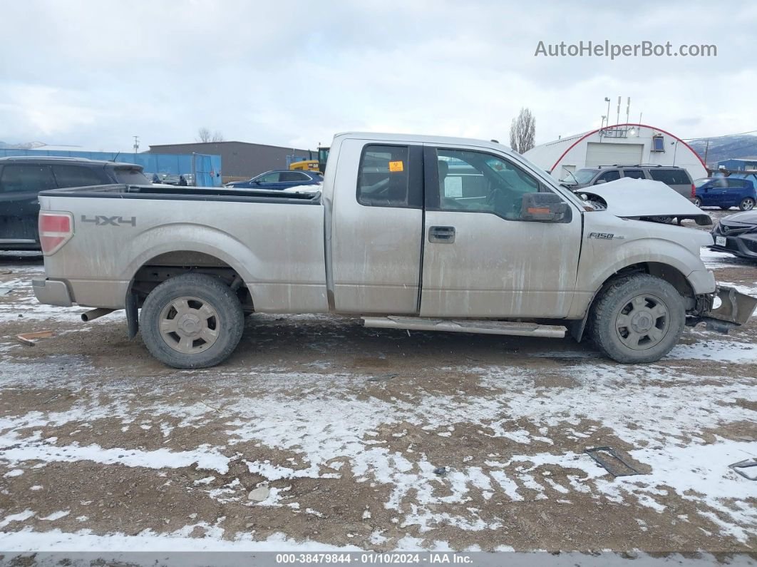 2010 Ford F-150 Fx4/lariat/xl/xlt Silver vin: 1FTFX1EV8AFC24521