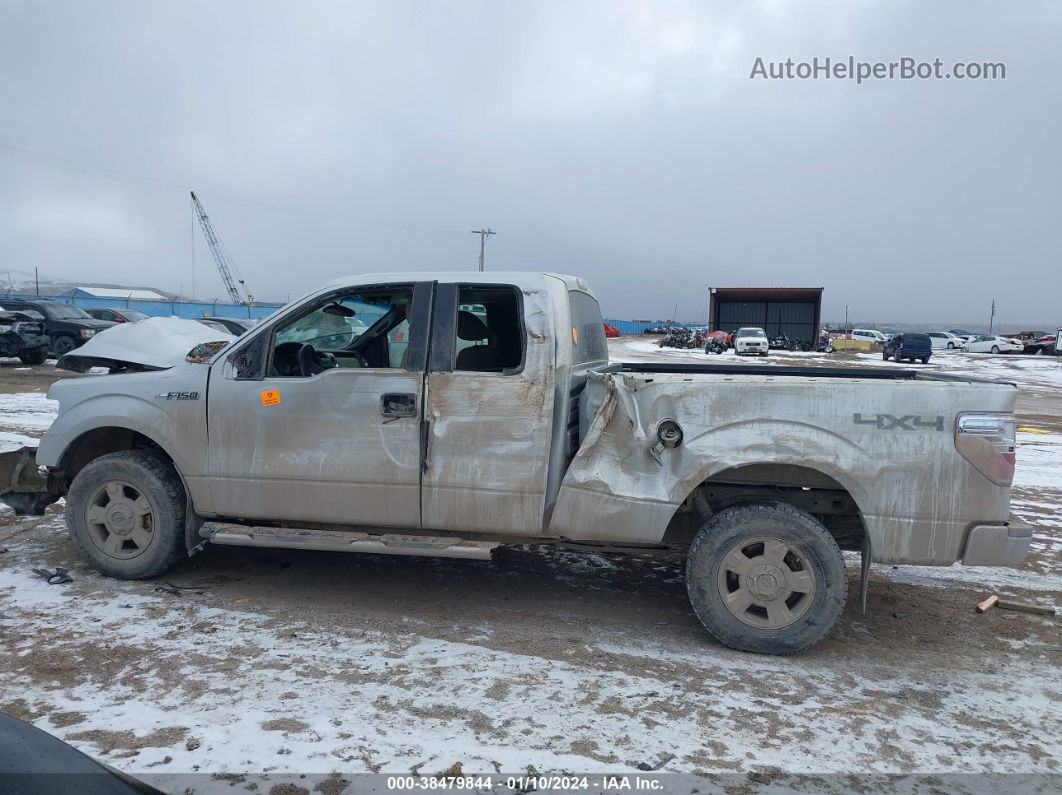 2010 Ford F-150 Fx4/lariat/xl/xlt Silver vin: 1FTFX1EV8AFC24521