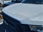 2017 Ford F-150 Xl vin: 1FTMF1C83HKC07053