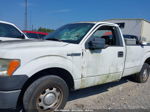 2010 Ford F-150 Xl/xlt White vin: 1FTMF1C84AKA83039