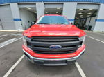 2019 Ford F-150 Xl/xlt Неизвестно vin: 1FTMF1CB5KKC43541