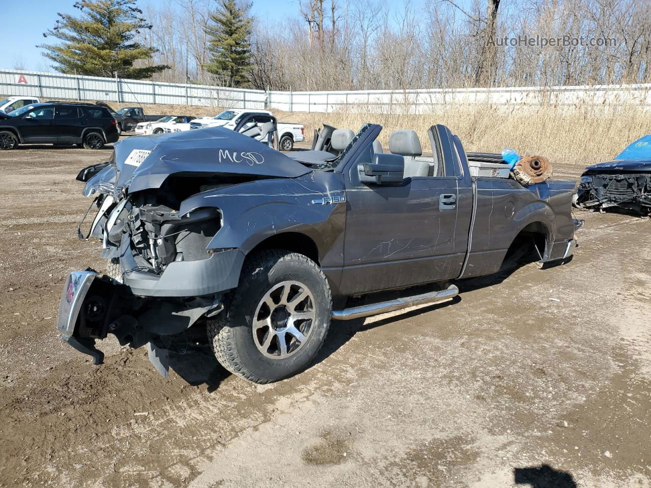 2011 Ford F150  Gray vin: 1FTMF1CF4BFA00282