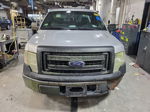 2014 Ford F-150 Xl vin: 1FTMF1CM0EKD63530