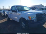 2014 Ford F-150 Xl White vin: 1FTMF1CM7EKF77639