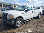 2011 Ford F150   White vin: 1FTMF1CMXBKD18753