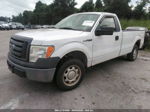 2010 Ford F-150 Xl/stx/xlt/xl W Белый vin: 1FTMF1CW1AKB16240