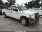 2010 Ford F-150 Xl/stx/xlt/xl W White vin: 1FTMF1CW1AKB16240