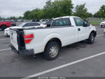 2010 Ford F-150 Stx/xl/xlt White vin: 1FTMF1CW3AKE79008