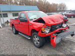 2010 Ford F-150 Stx/xl/xlt Red vin: 1FTMF1CW7AKA75922