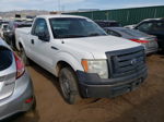 2010 Ford F150  White vin: 1FTMF1CW7AKE05087