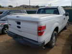 2010 Ford F150  White vin: 1FTMF1CW7AKE05087