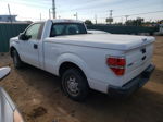 2010 Ford F150  White vin: 1FTMF1CW7AKE05087