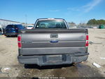 2010 Ford F-150 Stx/xl/xlt Gray vin: 1FTMF1CWXAFD01279