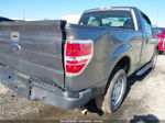 2010 Ford F-150 Stx/xl/xlt Gray vin: 1FTMF1CWXAFD01279