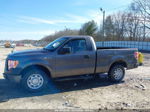 2010 Ford F-150 Stx/xl/xlt Gray vin: 1FTMF1CWXAFD01279