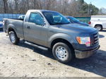 2010 Ford F-150 Stx/xl/xlt Gray vin: 1FTMF1CWXAFD01279