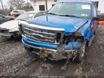 2010 Ford F-150 Stx/xl/xlt Blue vin: 1FTMF1E85AKB98424