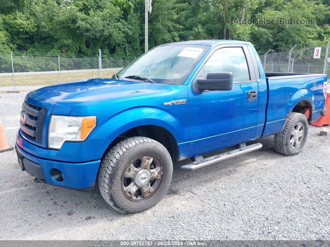 2010 Ford F-150 Stx/xl/xlt Blue vin: 1FTMF1E87AKA98647