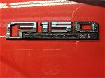 2019 Ford F-150 Xl vin: 1FTMF1EBXKKC43659
