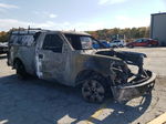 2014 Ford F150  Burn vin: 1FTMF1EF7EFB07117