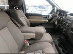 2010 Ford F-150 Stx/xl/xlt Gray vin: 1FTMF1EW4AKA21569