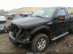 2010 Ford F-150 Stx/xl/xlt Серый vin: 1FTMF1EW4AKA21569