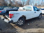 2010 Ford F-150 Xl White vin: 1FTMF1EWXAKE47721