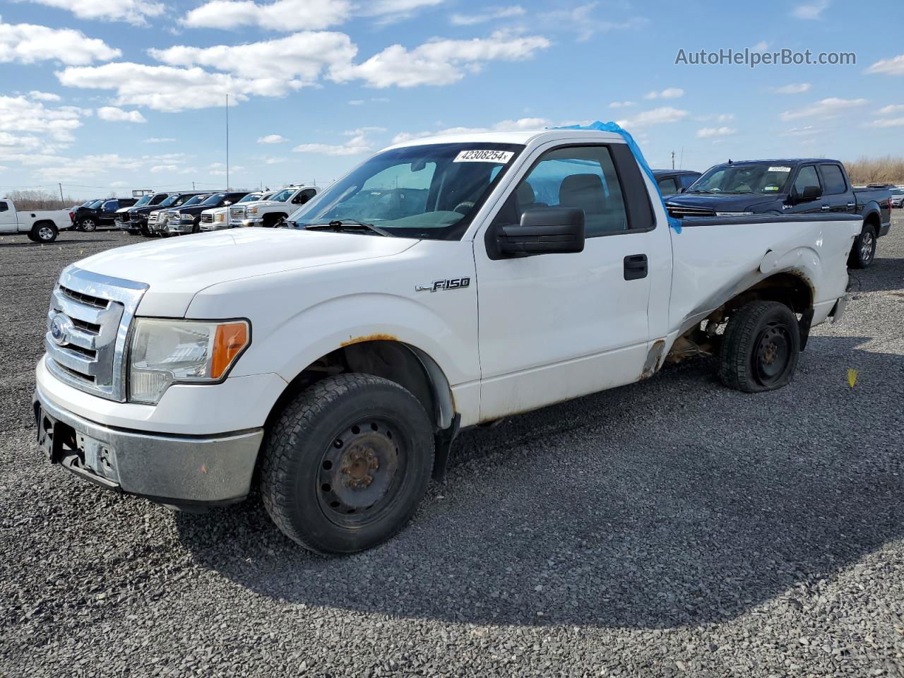 2011 Ford F150  White vin: 1FTNF1CF5BKD36552