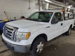 2010 Ford F-150 Xl/xlt/xl W Unknown vin: 1FTNF1CV3AKE50555