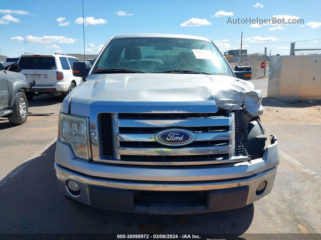 2010 Ford F-150 Xl/xlt Серебряный vin: 1FTNF1CV7AKA58887