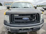 2014 Ford F150  Yellow vin: 1FTNF1EF5EKG11578