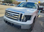 2010 Ford F-150 Xl/xlt vin: 1FTNF1EV0AKE50557