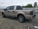 2005 Ford F150 Supercrew Beige vin: 1FTPW12585KE28406