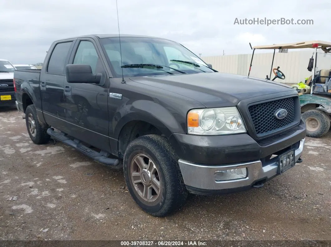 2005 Ford F-150 Fx4/lariat/xlt Серый vin: 1FTPW14505FB64281