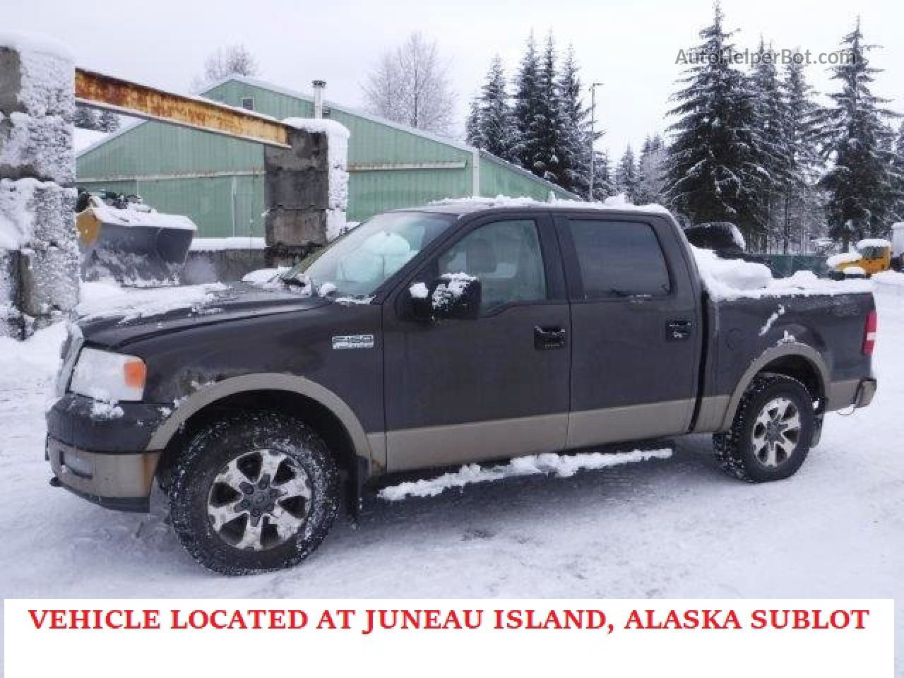 2005 Ford F150 Supercrew Черный vin: 1FTPW14505KE79735