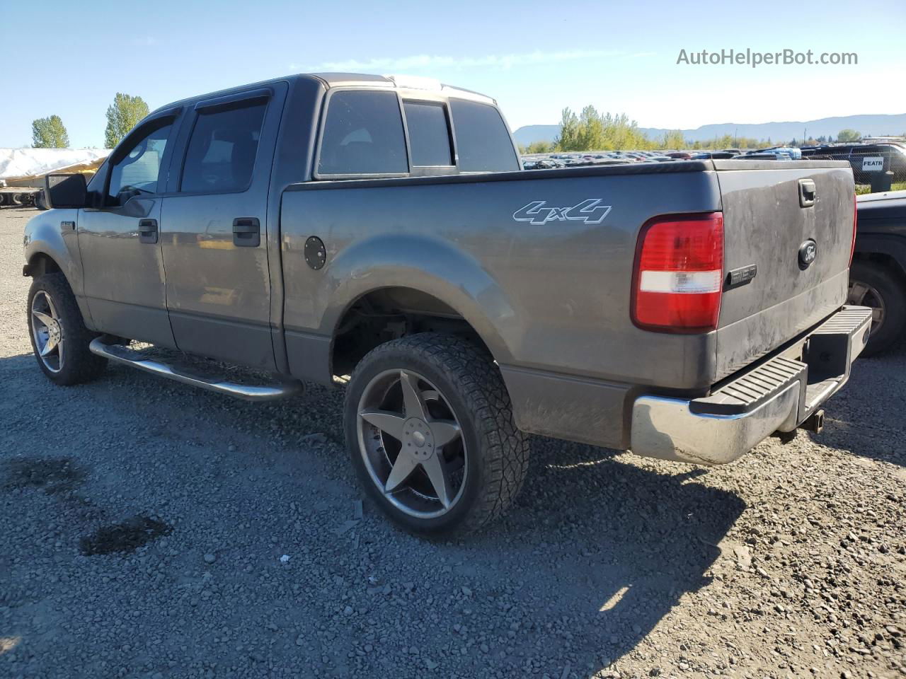 2005 Ford F150 Supercrew Серый vin: 1FTPW14515KD35739