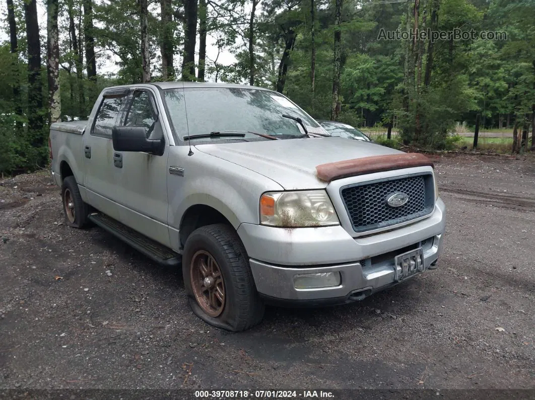 2004 Ford F-150 Fx4/lariat/xlt Silver vin: 1FTPW14524KA99570