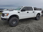 2004 Ford F150 Supercrew White vin: 1FTPW14524KC32666