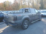 2005 Ford F150 Supercrew Gray vin: 1FTPW14535FA68712