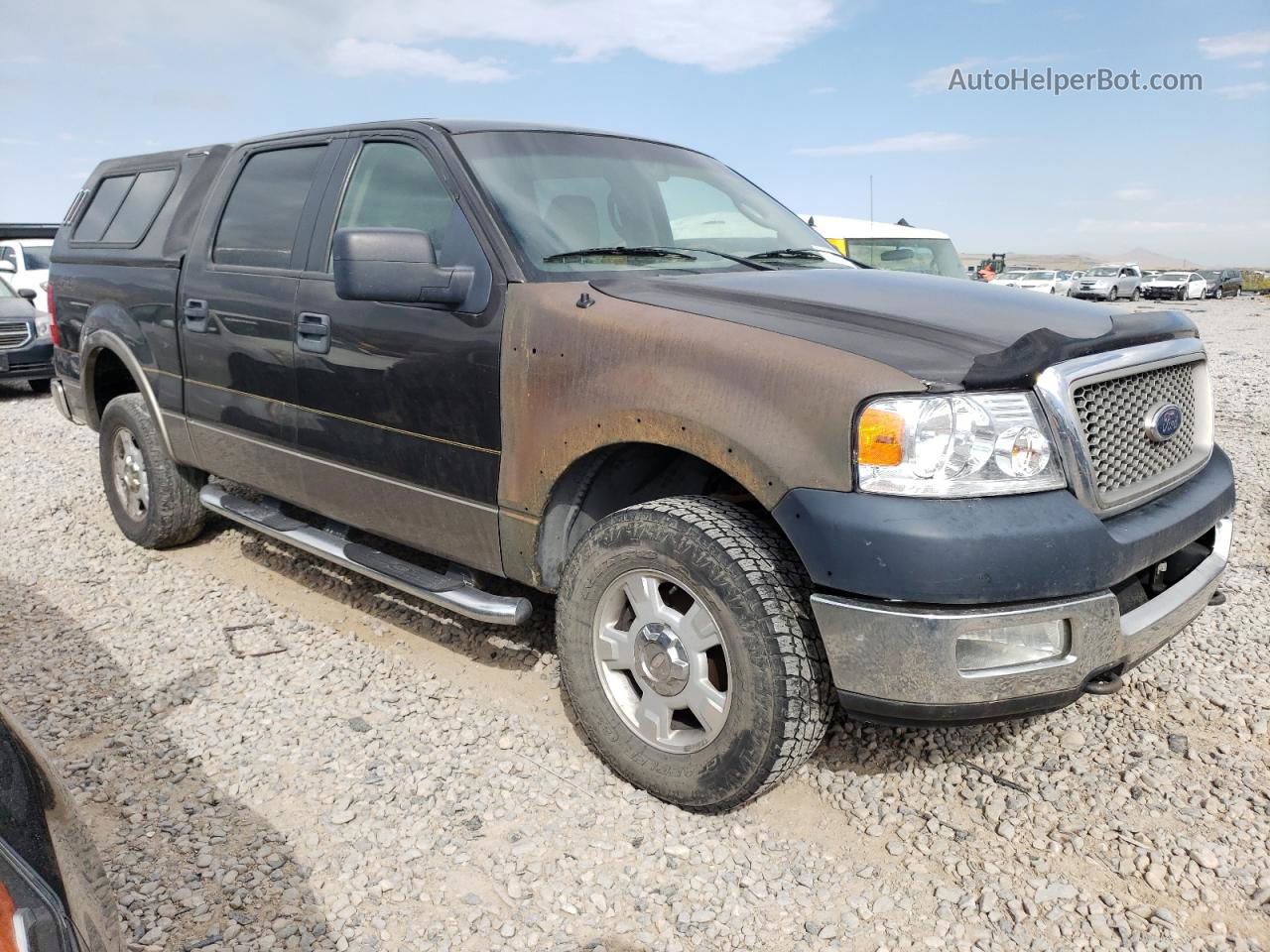 2005 Ford F150 Supercrew Silver vin: 1FTPW14535FB00185