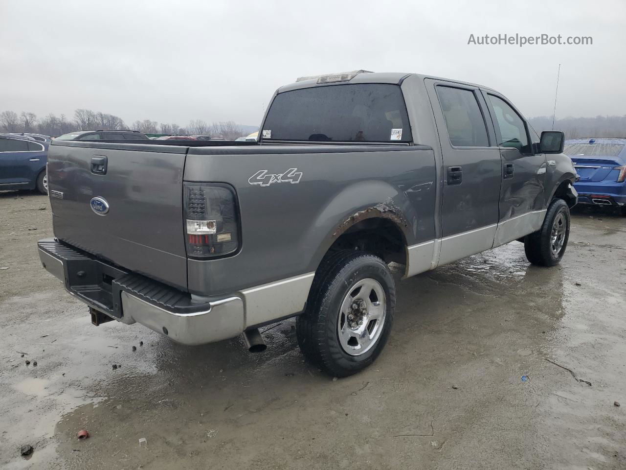 2005 Ford F150 Supercrew Gray vin: 1FTPW14545FA97863