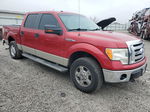 2009 Ford F150 Supercrew Red vin: 1FTPW14V19FB00496