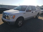 2009 Ford F150 Supercrew Белый vin: 1FTPW14V19FB06928